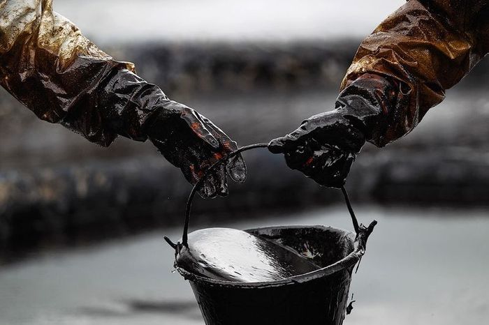 Цена на нефть – прогноз на ноябрь 2015 года, динамика роста мировых цен на нефть